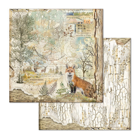 Stamperia Forest 12x12 Inch Paper Pack (SBBL63) Stamperia Forest 12x12 Inch Paper Pack (SBBL63)