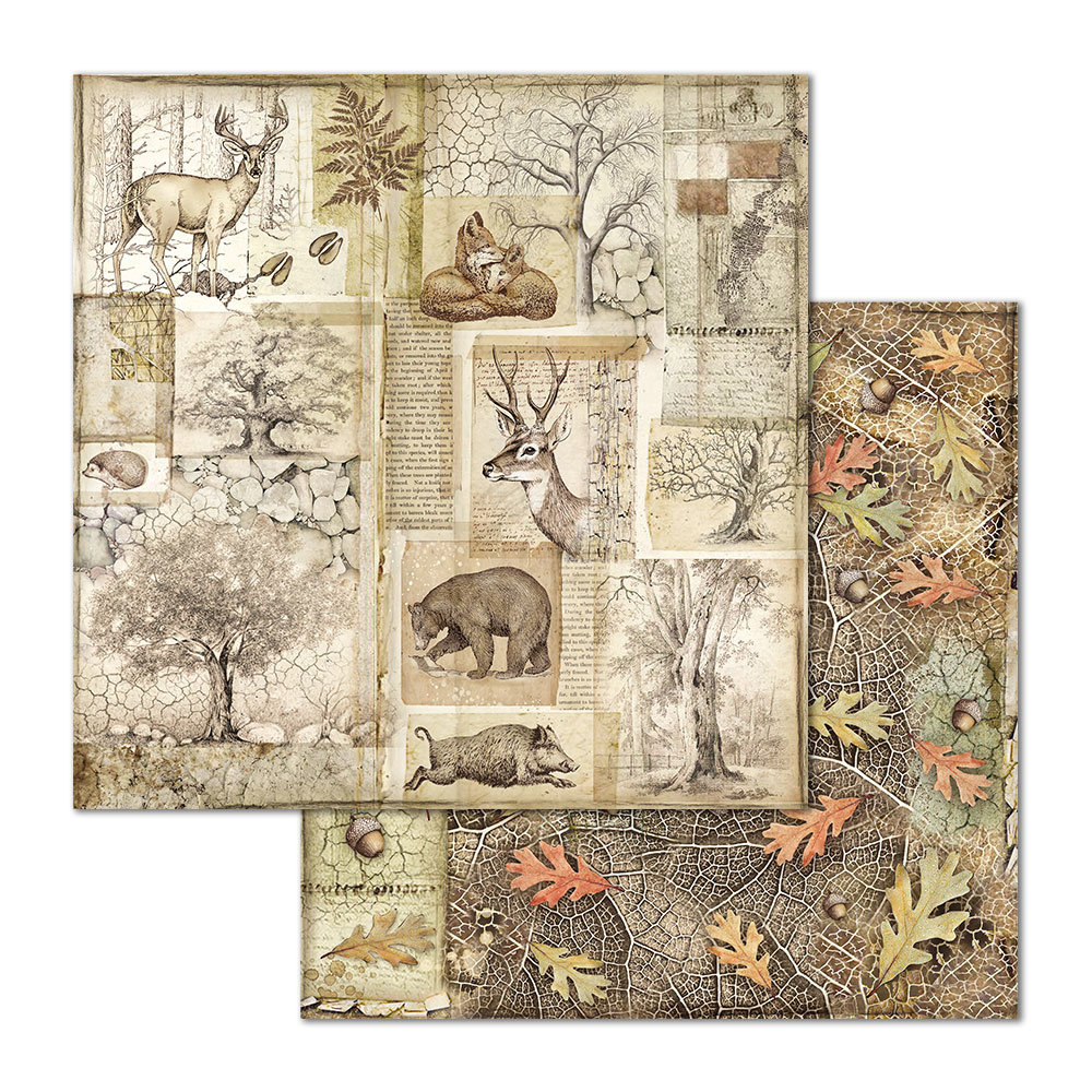 Stamperia Forest 12x12 Inch Paper Pack (SBBL63) Stamperia Forest 12x12 Inch Paper Pack (SBBL63)