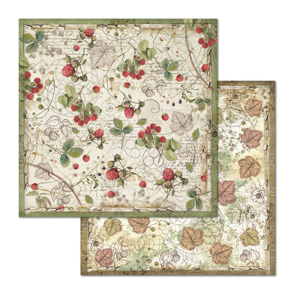 Stamperia Forest 12x12 Inch Paper Pack (SBBL63) Stamperia Forest 12x12 Inch Paper Pack (SBBL63)