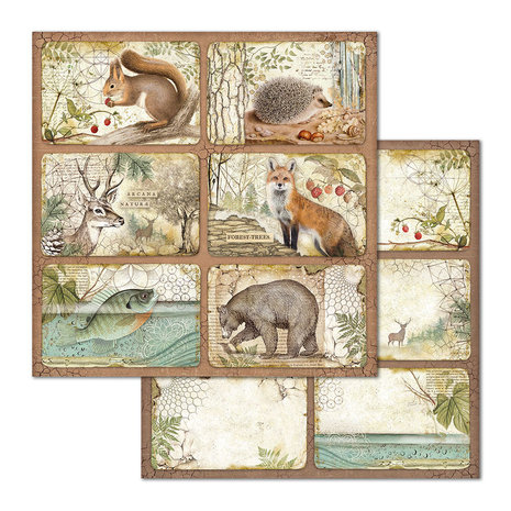 Stamperia Forest 12x12 Inch Paper Pack (SBBL63) Stamperia Forest 12x12 Inch Paper Pack (SBBL63)