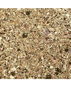 Lindy's Stamp Gang That's Marble-ous Embossing Powder (ep-119)