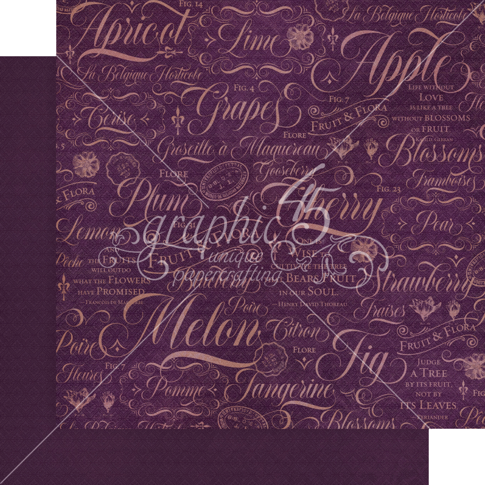 Graphic 45 Fruit & Flora 12x12 Inch Patterns & Solids Paper Pad (4502001) (OUTLET)