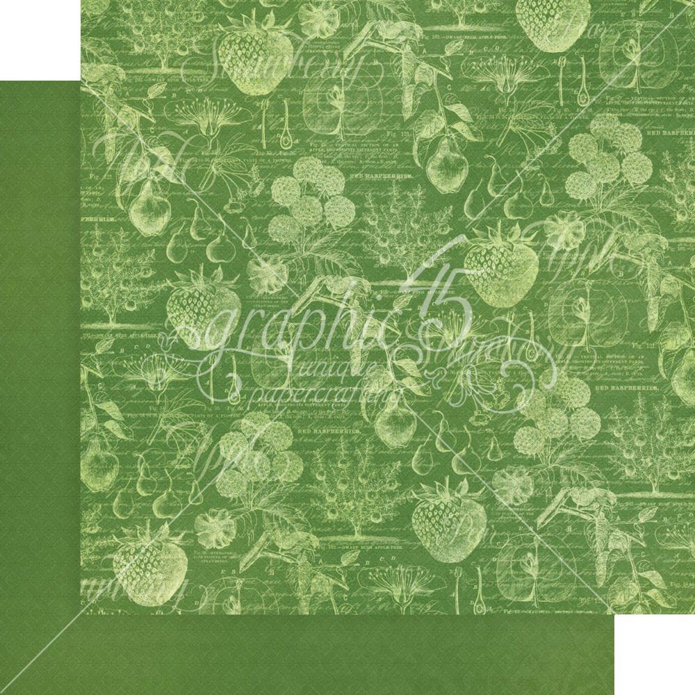 Graphic 45 Fruit & Flora 12x12 Inch Patterns & Solids Paper Pad (4502001) (OUTLET) Graphic 45 Fruit & Flora 12x12 Inch Patterns & Solids Paper Pad (4502001) (OUTLET)
