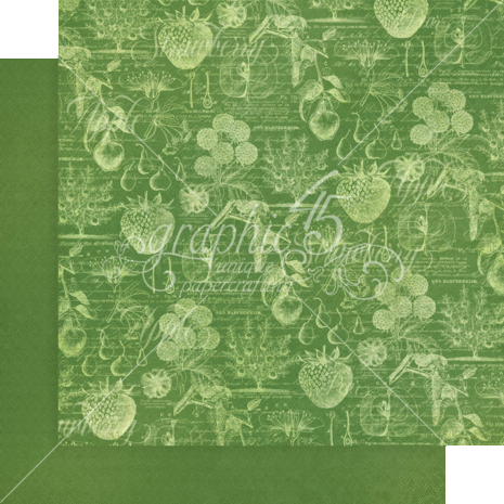 Graphic 45 Fruit & Flora 12x12 Inch Patterns & Solids Paper Pad (4502001) (OUTLET) Graphic 45 Fruit & Flora 12x12 Inch Patterns & Solids Paper Pad (4502001) (OUTLET)