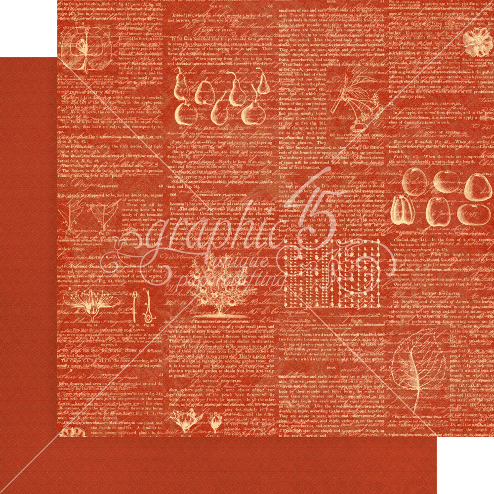 Graphic 45 Fruit & Flora 12x12 Inch Patterns & Solids Paper Pad (4502001) (OUTLET) Graphic 45 Fruit & Flora 12x12 Inch Patterns & Solids Paper Pad (4502001) (OUTLET)