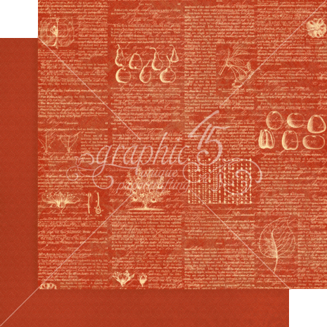 Graphic 45 Fruit & Flora 12x12 Inch Patterns & Solids Paper Pad (4502001) (OUTLET) Graphic 45 Fruit & Flora 12x12 Inch Patterns & Solids Paper Pad (4502001) (OUTLET)
