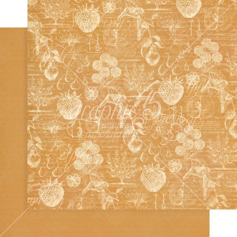 Graphic 45 Fruit & Flora 12x12 Inch Patterns & Solids Paper Pad (4502001) (OUTLET) Graphic 45 Fruit & Flora 12x12 Inch Patterns & Solids Paper Pad (4502001) (OUTLET)