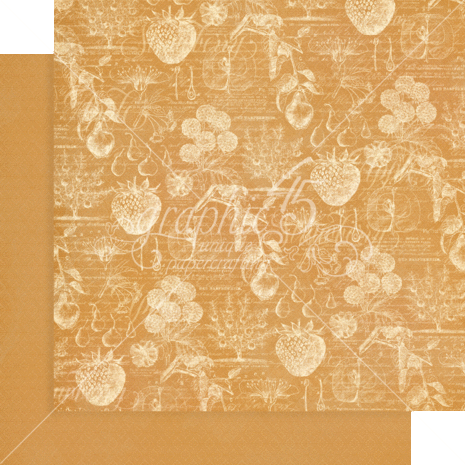 Graphic 45 Fruit & Flora 12x12 Inch Patterns & Solids Paper Pad (4502001) (OUTLET) Graphic 45 Fruit & Flora 12x12 Inch Patterns & Solids Paper Pad (4502001) (OUTLET)