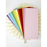 Picket Fence Studios Slim Line Envelopes 4.125 x 9.5 Inch Rainbow (EN-100) (OUTLET)
