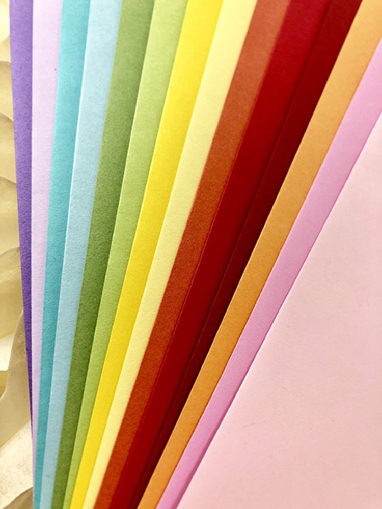 Picket Fence Studios Slim Line Envelopes 4.125 x 9.5 Inch Rainbow (EN-100) (OUTLET)