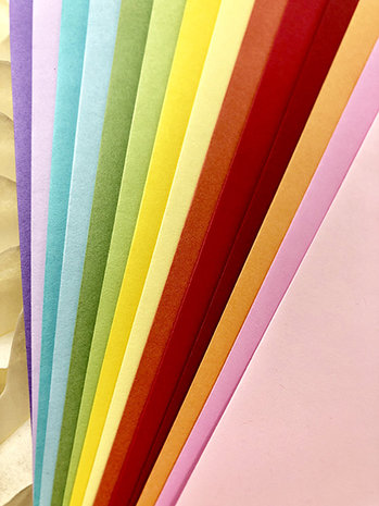 Picket Fence Studios Slim Line Envelopes 4.125 x 9.5 Inch Rainbow (EN-100) (OUTLET)