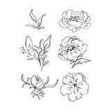 Spellbinders Beauty in Bloom Clear Stamps (STP-032) (OUTLET)