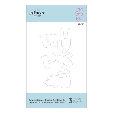 Spellbinders Expressions of Spring Sentiments Etched Dies (S2-313) (OUTLET) Spellbinders Expressions of Spring Sentiments Etched Dies (S2-313) (OUTLET)