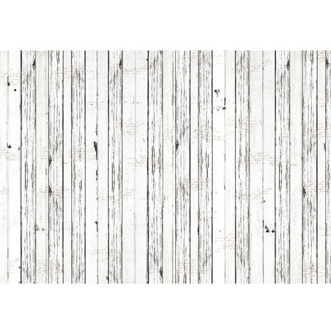 Memory Place Forest Friends Whitewash Wrapping Paper (3pcs) (MP-58983) (OUTLET) Memory Place Forest Friends Whitewash Wrapping Paper (3pcs) (MP-58983) (OUTLET)