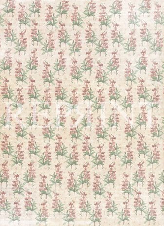 Reprint French Flowers Collection A4 Paper Pack (RBP005) (DISCONTINUED) Reprint French Flowers Collection A4 Paper Pack (RBP005) (DISCONTINUED)