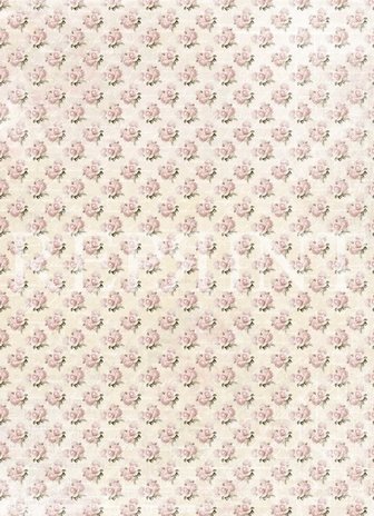 Reprint French Flowers Collection A4 Paper Pack (RBP005) (DISCONTINUED) Reprint French Flowers Collection A4 Paper Pack (RBP005) (DISCONTINUED)