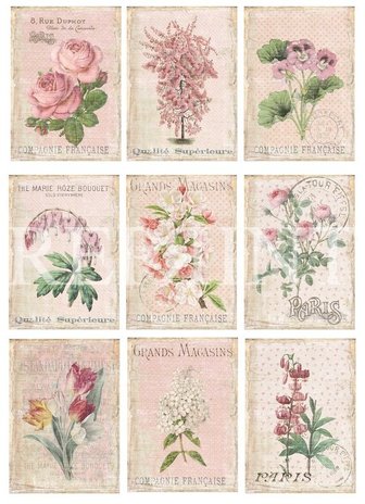 Reprint French Flowers Collection A4 Paper Pack (RBP005) (DISCONTINUED) Reprint French Flowers Collection A4 Paper Pack (RBP005) (DISCONTINUED)