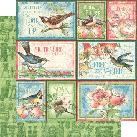 Graphic 45 Bird Watcher 12x12 Inch Collection Pack (4502211) (OUTLET)
