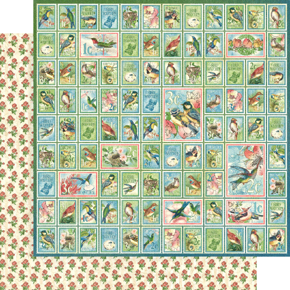 Graphic 45 Bird Watcher 12x12 Inch Collection Pack (4502211) (OUTLET)