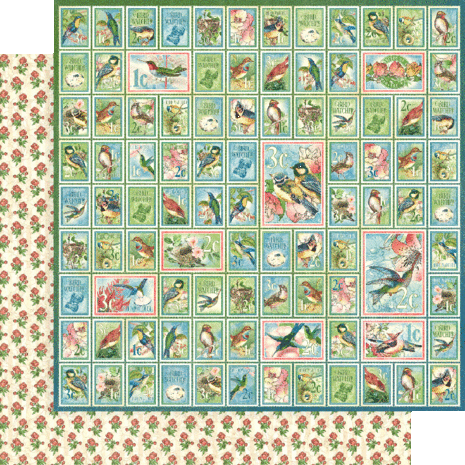 Graphic 45 Bird Watcher 12x12 Inch Collection Pack (4502211) (OUTLET)