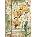 Stamperia Rice Paper A4 Amazonia Orchid (6 pcs) (DFSA4532) (DISCONTINUED)