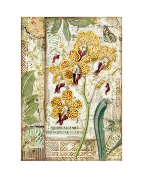 Stamperia Rice Paper A4 Amazonia Orchid (6 pcs) (DFSA4532) (DISCONTINUED)