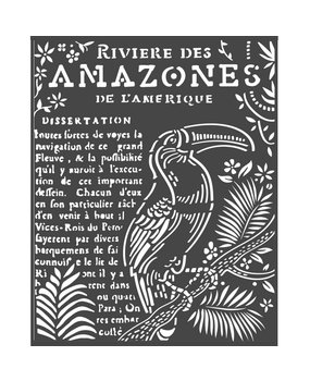 Stamperia Thick Stencil 20x25cm Amazonia Toucan (KSTD065) (DISCONTINUED)