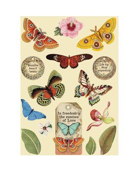 Stamperia Wooden Shapes A5 Amazonia Butterfly (KLSP093) (DISCONTINUED)
