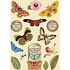 Wooden Shapes A5 Amazonia Butterfly (KLSP093) (OUTLET) Wooden Shapes A5 Amazonia Butterfly (KLSP093) (OUTLET)