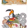 Stamperia Amazonia Clear Die Cuts (DFLDCP03) (DISCONTINUED)