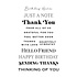 Essential Sentiments Clear Stamps (STP-043) (OUTLET)