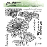 Picket Fence Studios Wild Daisies 6x6 Inch Clear Stamps (F-150) (OUTLET)