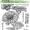 Picket Fence Studios Wild Daisies 6x6 Inch Clear Stamps (F-150) (OUTLET)