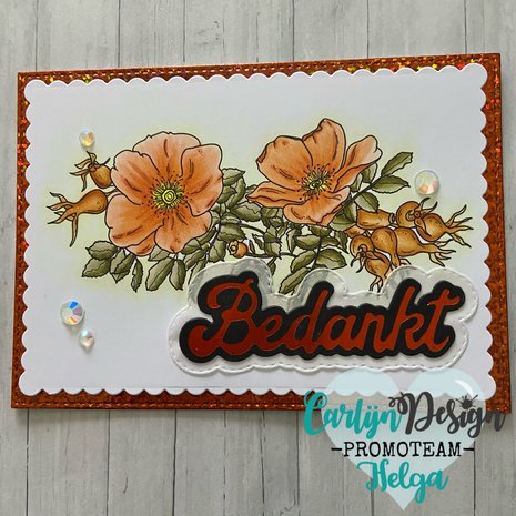 CarlijnDesign Hot Foil Grote Teksten Bedankt (CDHF-0009) (DISCONTINUED)
