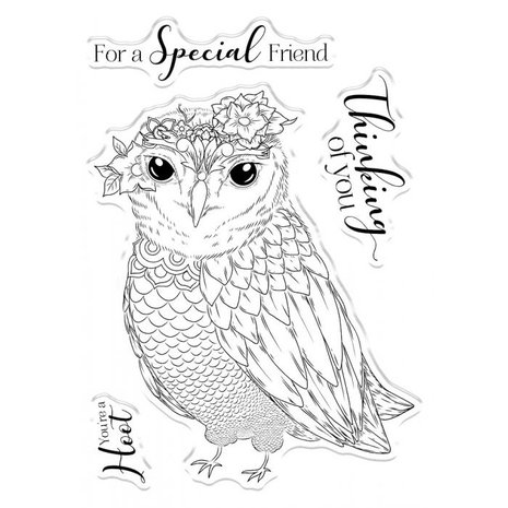 Gemini You're a Hoot Stamp & Die (GEM-STD-YAHOO) (OUTLET)