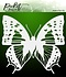 Dart Butterfly 6x6 Inch Stencil (SC-187) (OUTLET) Dart Butterfly 6x6 Inch Stencil (SC-187) (OUTLET)