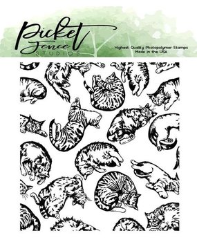Picket Fence Studios This Cat is for You Clear Stamps (A-155) (OUTLET)