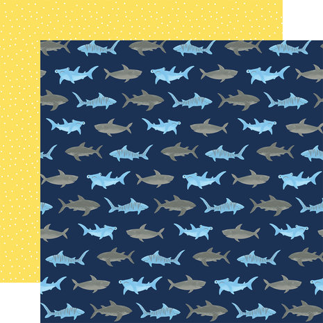 Echo Park Under Sea Adventures 12x12 Inch Collection Kit (USA245016) (DISCONTINUED) Echo Park Under Sea Adventures 12x12 Inch Collection Kit (USA245016) (DISCONTINUED)