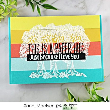 Picket Fence Studios This is a Paper Hug Word 2x6 Inch Topper Dies (PFSD-185) (OUTLET)