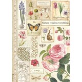 Stamperia Rice Paper A4 Botany (6 pcs) (DFSA4623) (OUTLET)
