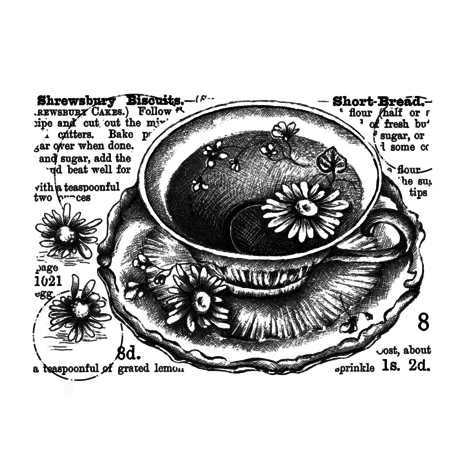 Crafty Individuals 8d Shrewsbury Biscuits Unmounted Rubber Stamps (CI-577) (OUTLET) Crafty Individuals 8d Shrewsbury Biscuits Unmounted Rubber Stamps (CI-577) (OUTLET)