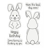 Gemini Hoppy Birthday Stamp & Die (GEM-STD-HOPBI) (OUTLET)