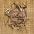 Mechanicals Pins (20pcs) (960292) (DISCONTINUED) Mechanicals Pins (20pcs) (960292) (DISCONTINUED)