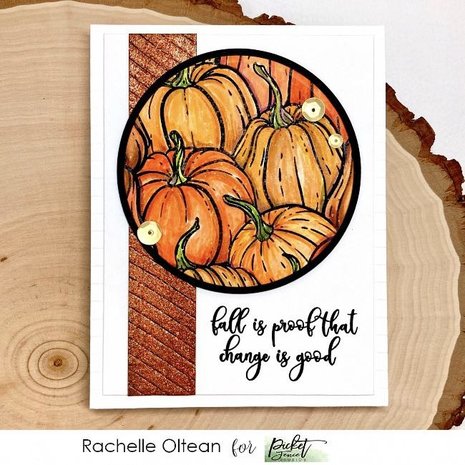 Picket Fence Studios All the Gourds 4x4 Inch Clear Stamps (F-148) (OUTLET) Picket Fence Studios All the Gourds 4x4 Inch Clear Stamps (F-148) (OUTLET)