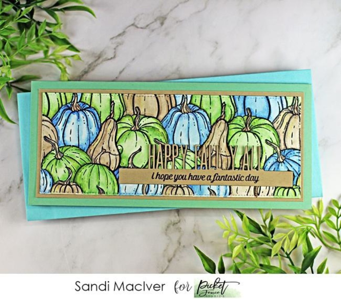 Picket Fence Studios All the Gourds 4x4 Inch Clear Stamps (F-148) (OUTLET) Picket Fence Studios All the Gourds 4x4 Inch Clear Stamps (F-148) (OUTLET)