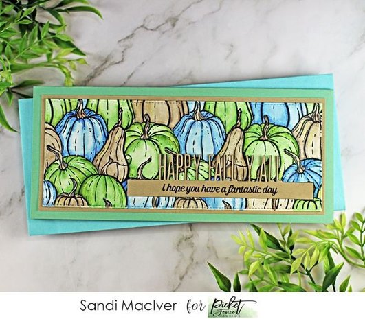 Picket Fence Studios All the Gourds 4x4 Inch Clear Stamps (F-148) (OUTLET) Picket Fence Studios All the Gourds 4x4 Inch Clear Stamps (F-148) (OUTLET)