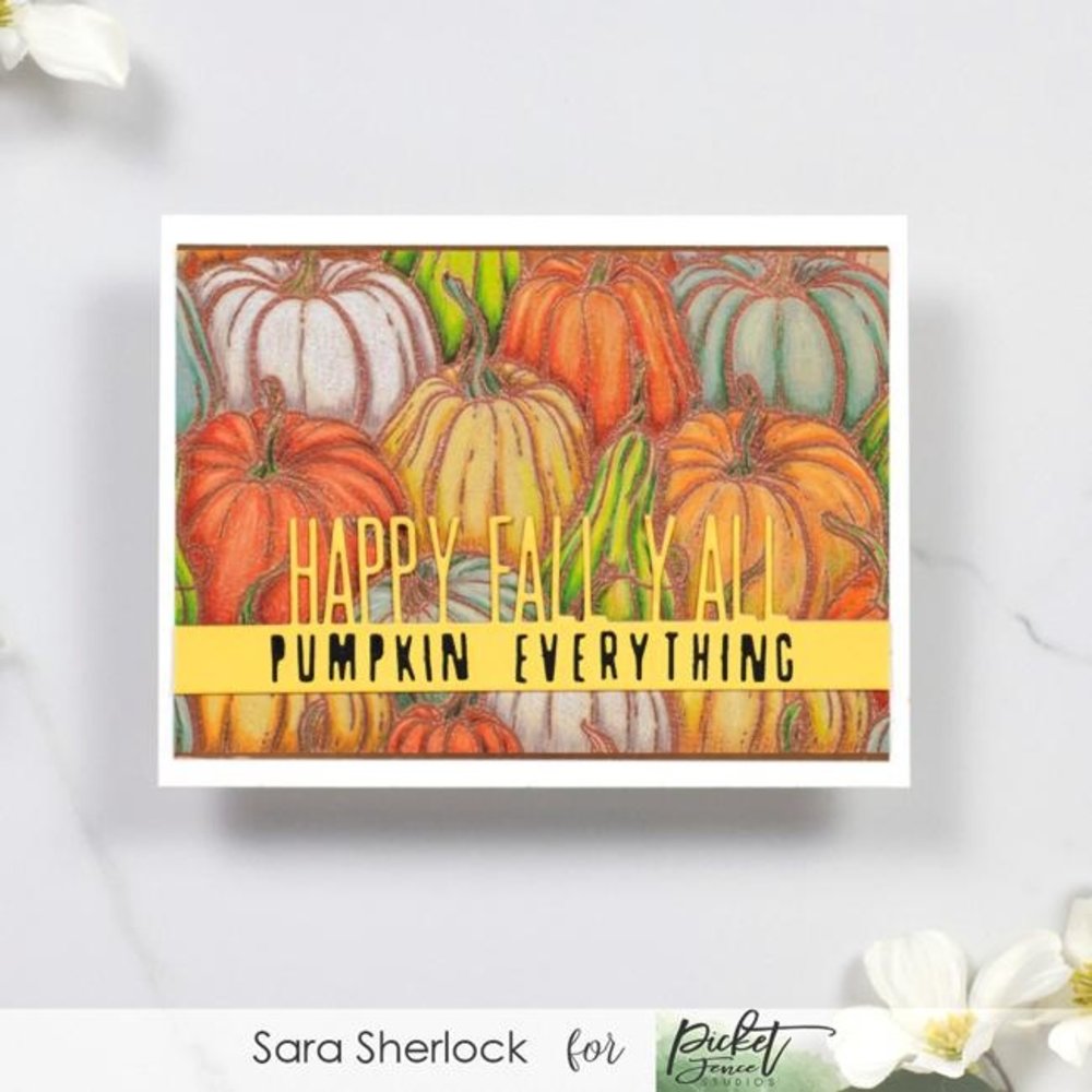 Picket Fence Studios All the Gourds 4x4 Inch Clear Stamps (F-148) (OUTLET) Picket Fence Studios All the Gourds 4x4 Inch Clear Stamps (F-148) (OUTLET)