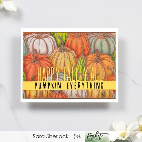Picket Fence Studios All the Gourds 4x4 Inch Clear Stamps (F-148) (OUTLET) Picket Fence Studios All the Gourds 4x4 Inch Clear Stamps (F-148) (OUTLET)
