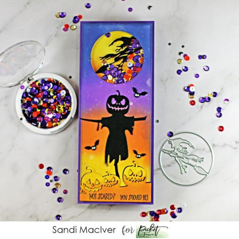 Picket Fence Studios Witch Slim Line 4x4 Inch Die Cutting System Insert (SDCS-105) (OUTLET) Picket Fence Studios Witch Slim Line 4x4 Inch Die Cutting System Insert (SDCS-105) (OUTLET)