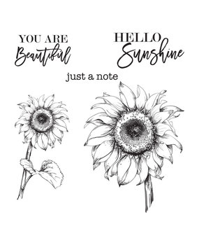 Spellbinders Hello Sunflower Clear Stamp (STP-017) (OUTLET)